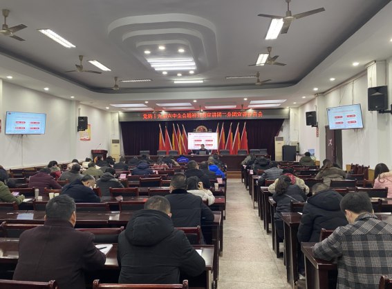 武胜县沿口镇召开党的十九届六中全会精神 宣讲报告会.png